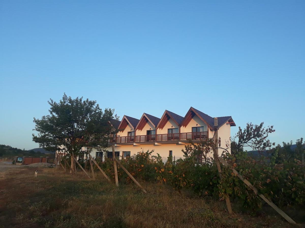 Pensiunea Casa Negrea Ighiu Exterior foto